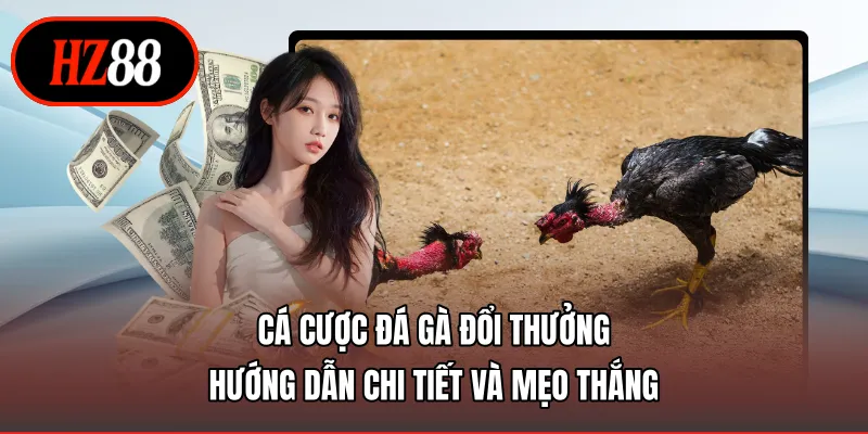 cá cược đá gà đổi thưởng