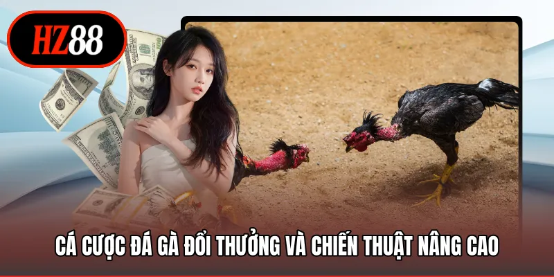 Cá cược đá gà đổi thưởng và chiến thuật nâng cao