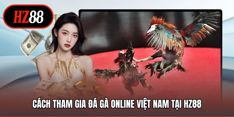 Cách tham gia đá gà online Việt Nam tại HZ88