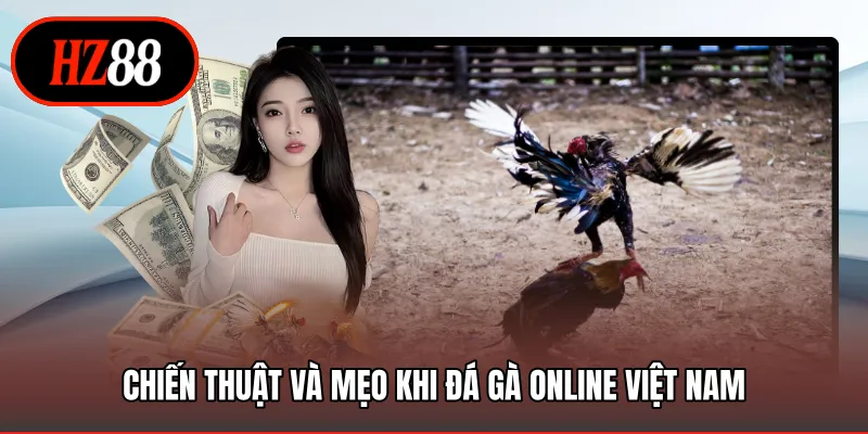 Chiến thuật và mẹo khi đá gà online Việt Nam
