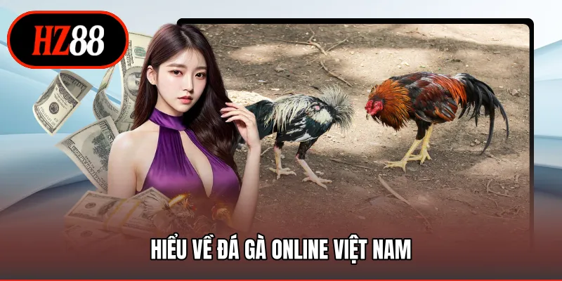 Hiểu về đá gà online Việt Nam