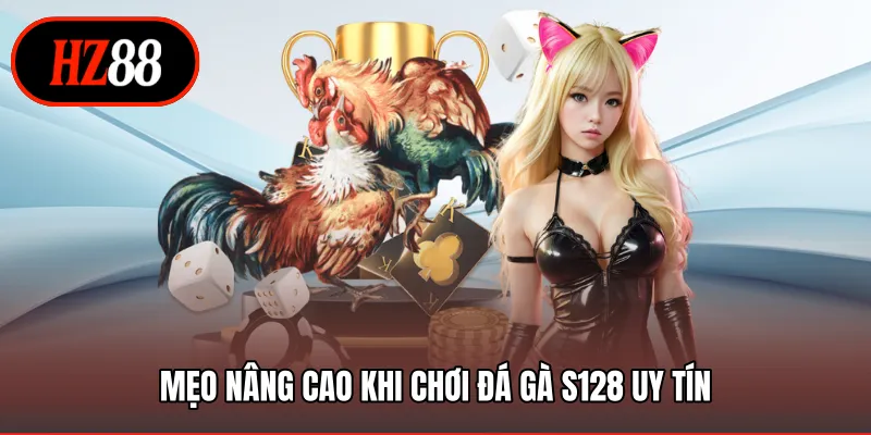 Mẹo nâng cao khi chơi đá gà S128 uy tín