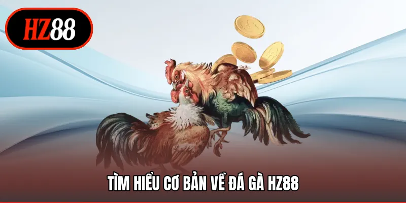 Tìm hiểu cơ bản về đá gà HZ88