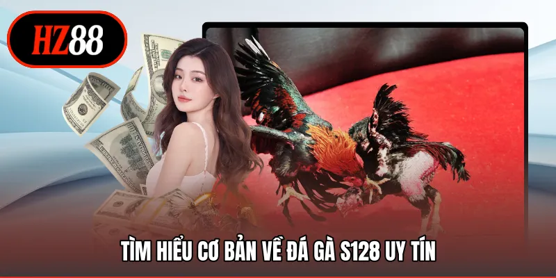 Tìm hiểu cơ bản về đá gà S128 uy tín